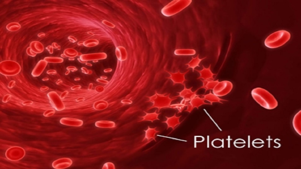 Low Platelet Levels In Body Can Be Dangerous Eat These Foods To Increase Platelet Count 0575