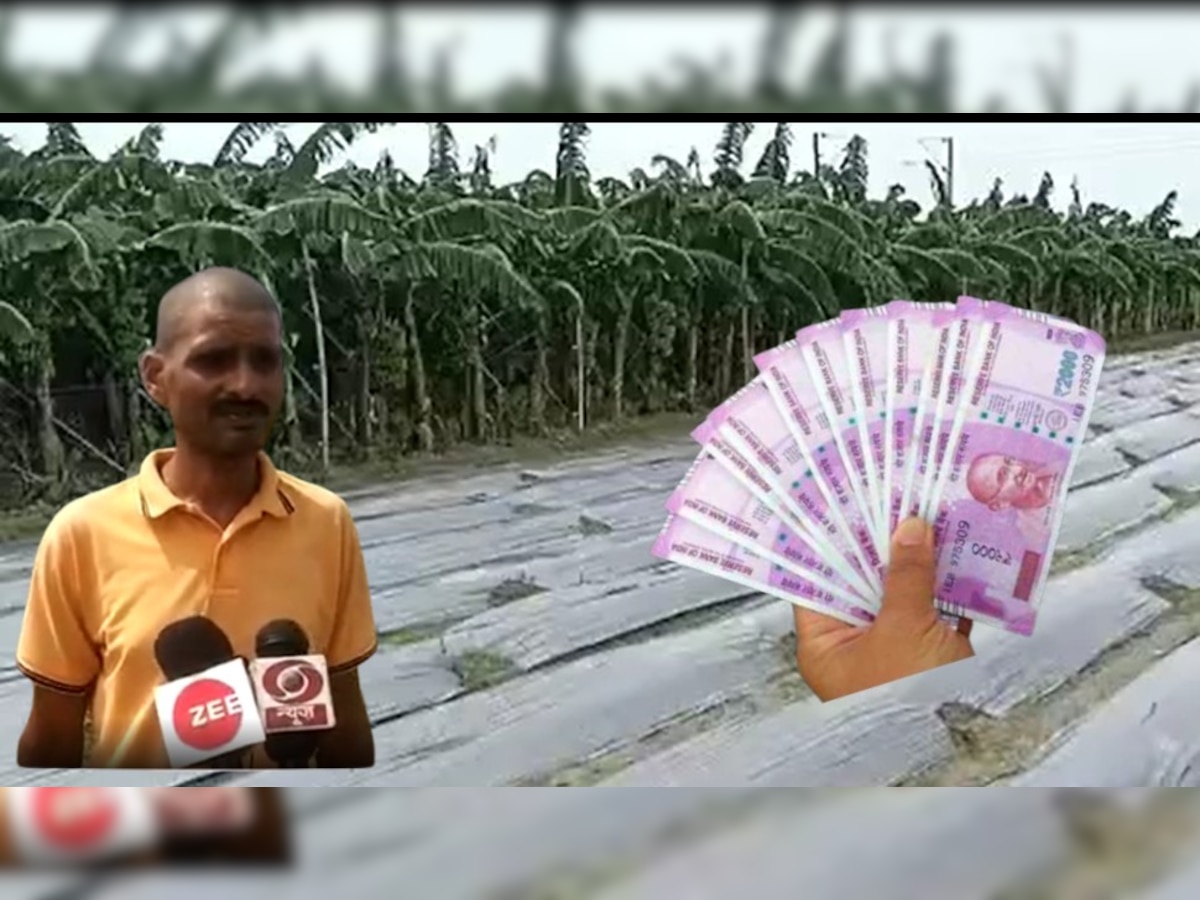 Positive Story: किसानों के लिए मिसाल बना Barabanki का यह युवा, सब्जी और फूलों की खेती कर कमा रहा अच्छा मुनाफा