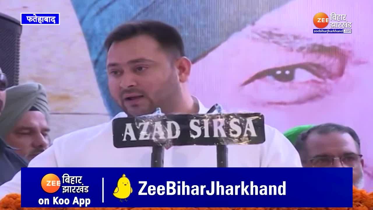 Tejashwi Yadav Said Nitish Kumar Hit The Hammer Now Bjp Is Not Going To Rise Tejashwi