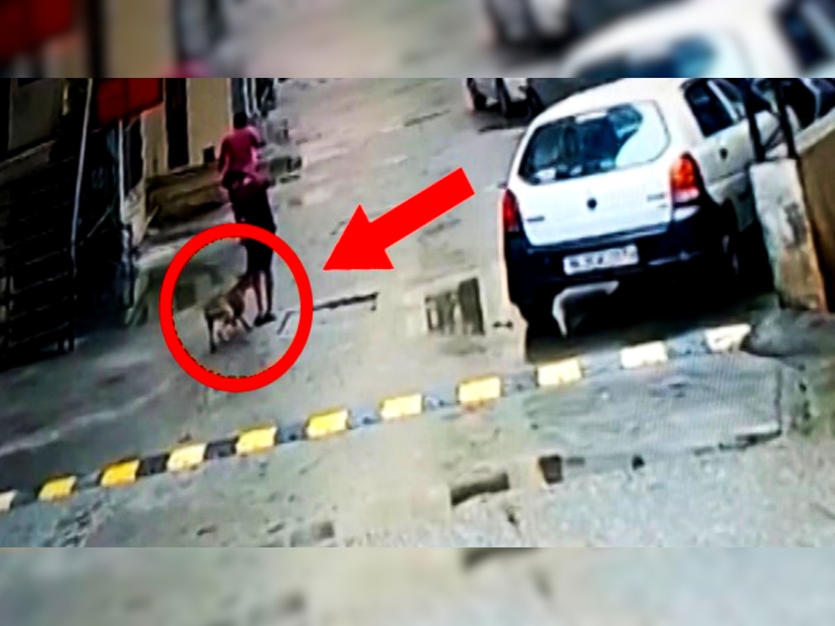 UP News: गाजियाबाद में फिर आया कुत्ते के काटे जाने का वीडियो, CCTV फुटेज वायरल