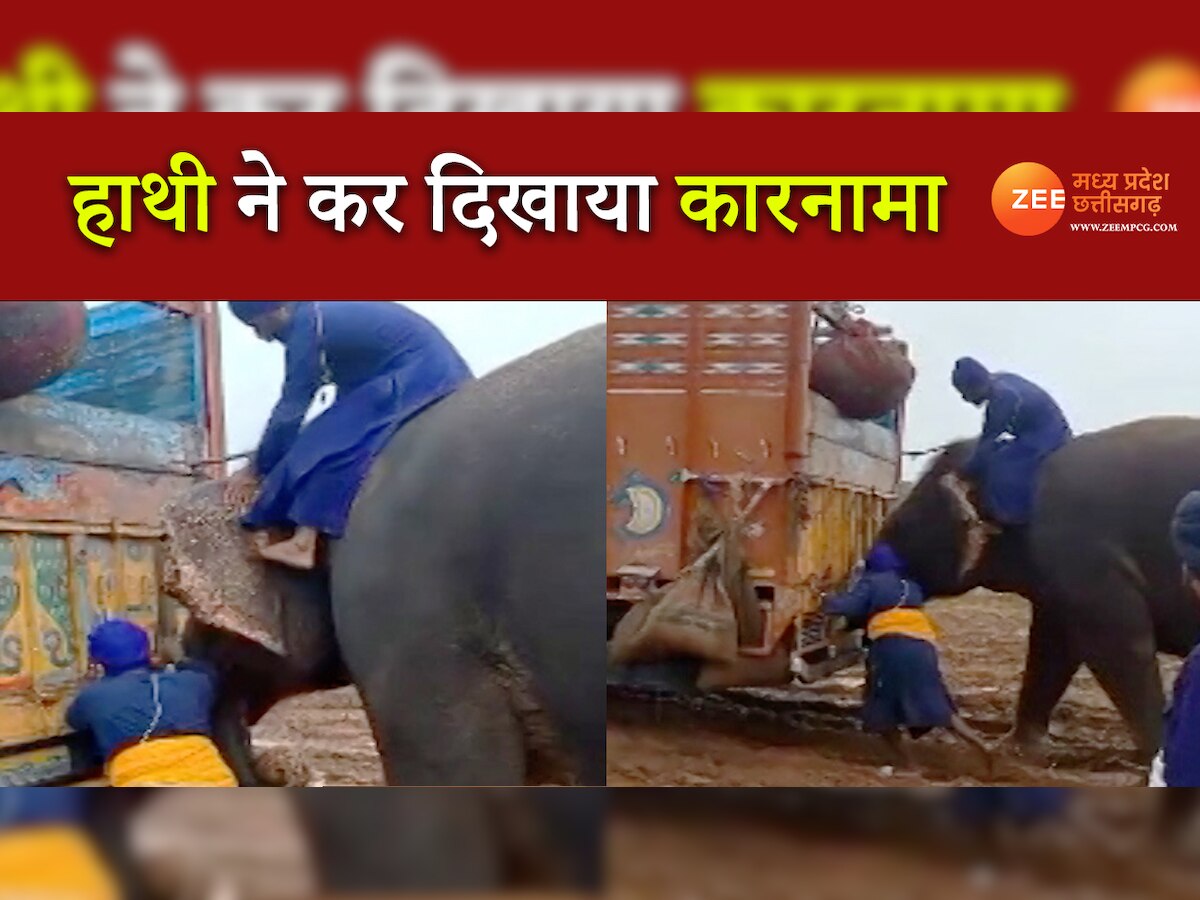 Elephant Pushes Trucks: शिवपुरी में सिख जत्थे का सहारा बने गजराज, लोगों को याद आया 'हाथी मेरे साथी' का सीन