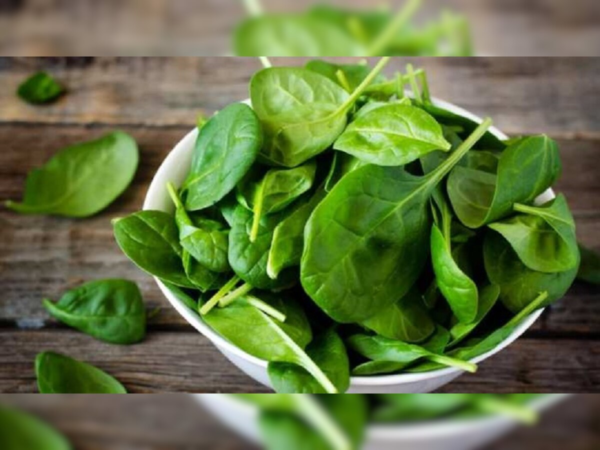 Spinach: गुणकारी है पालक, मगर सावधान! जरूरत से ज्यादा खाएंगे तो होगा भारी नुकसान