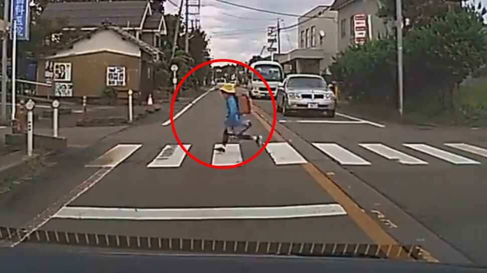 Japanese Girl ने सड़क पार करने के बाद किया ऐसा काम, देखकर गदगद हो गए भारतीय बिजनेसमैन; कही ऐसी बात