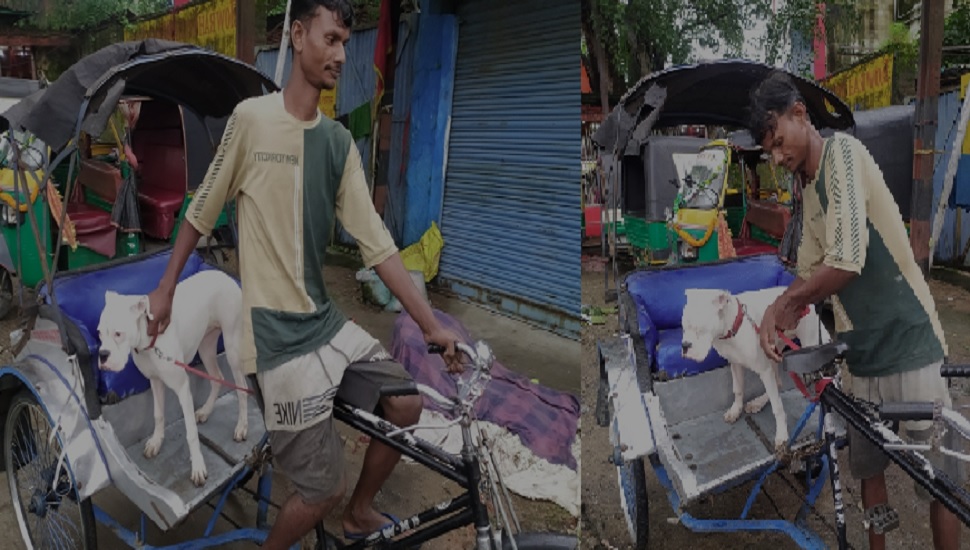 Dog Riding Rickshaw Ranchi Dog Lover And Rickshaw driver does overtime to take care the dog ...