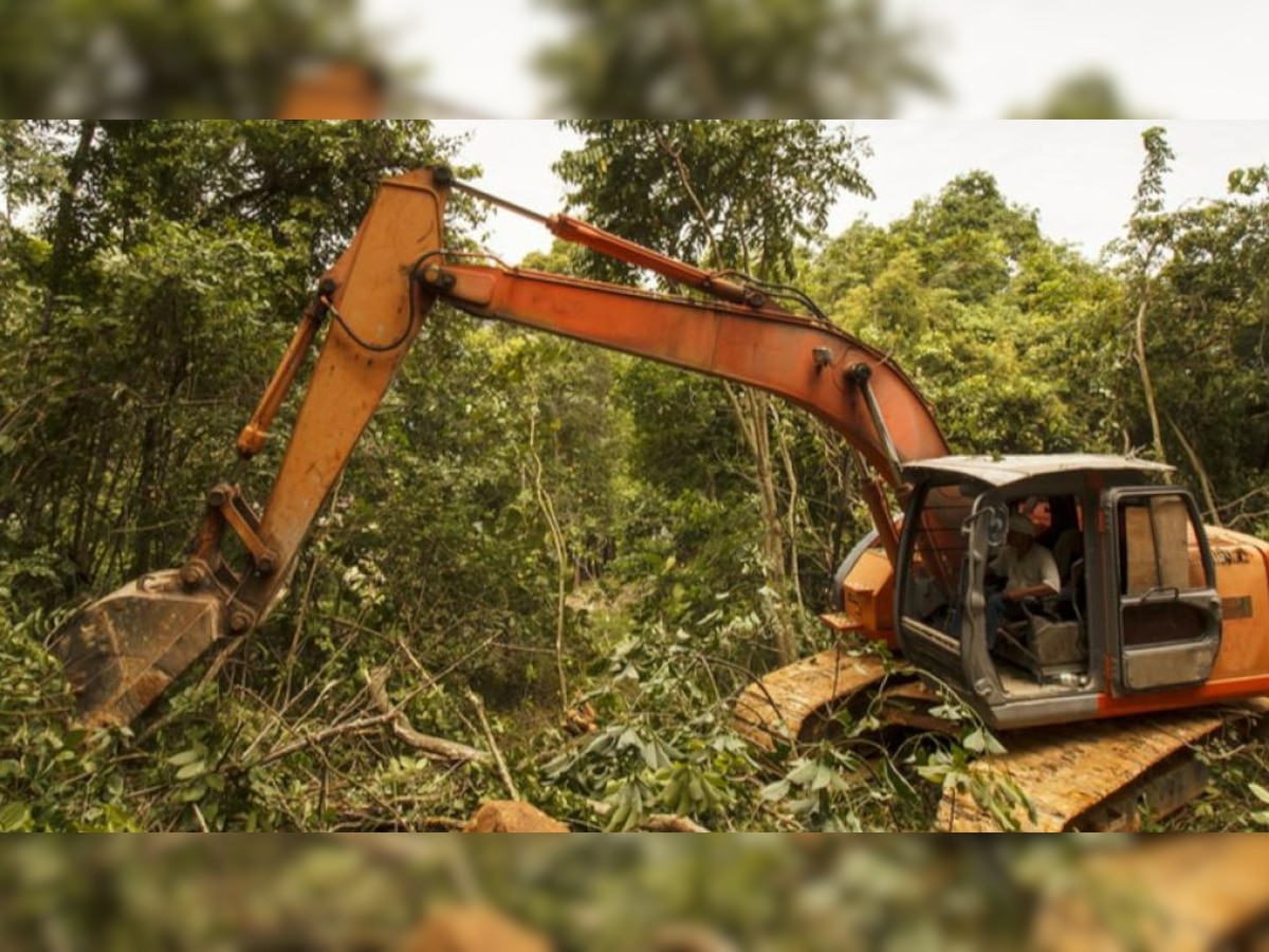 पेड़ों की कटाई के बदले जमा धनराशि के इस्तेमाल पर हाईकोर्ट ने सरकार से जवाब मांगा
