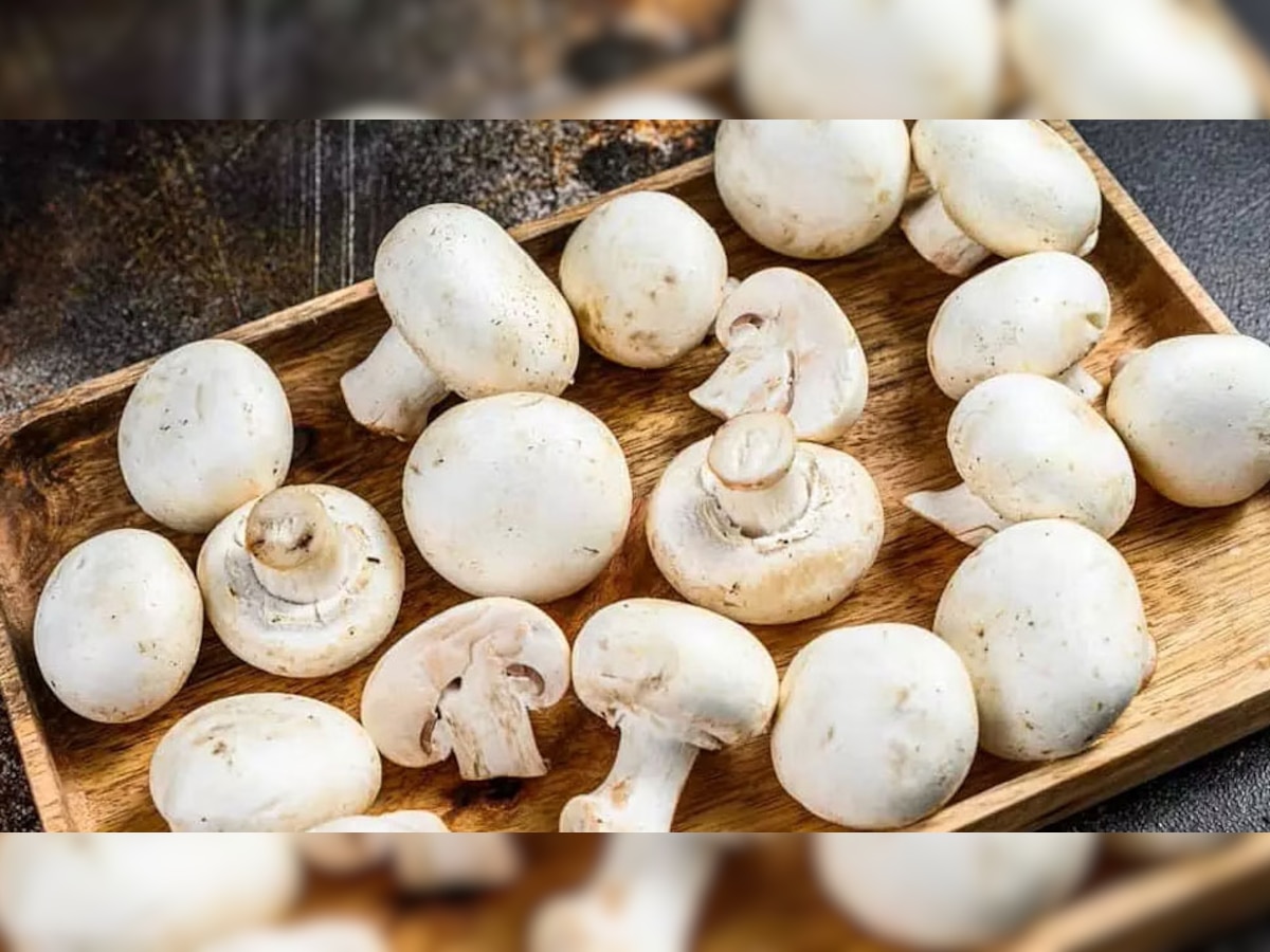 Vitamin B7 Rich Food Egg Yolk Sweet Potato Mushroom Banana Nuts and