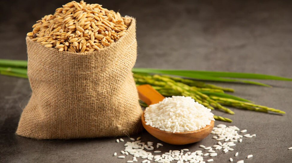 Free Ration लेने वालों के लिए आ गई बड़ी खुशखबरी! इस ऐलान से करोड़ों लोगों को होगा सीधा फायदा