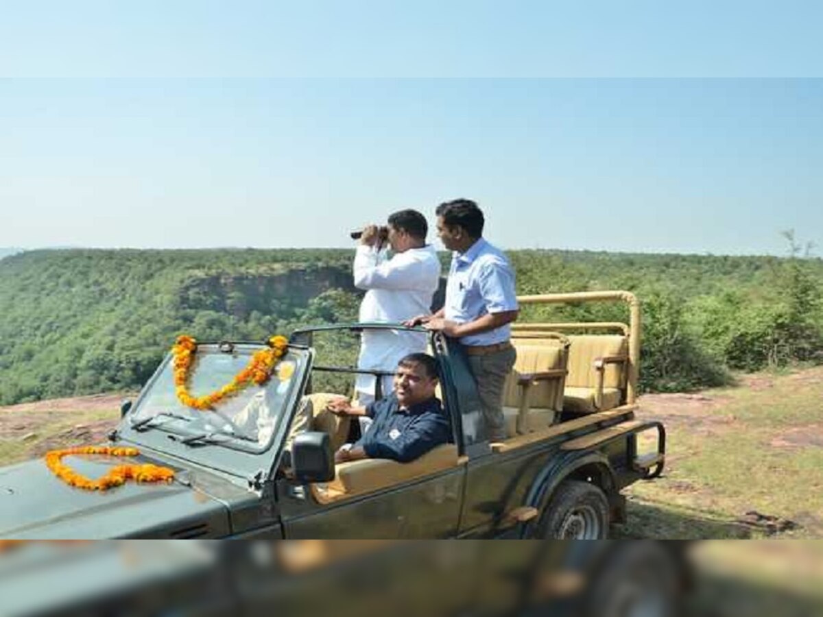 कैलादेवी अभयारण्य में जंगल सफारी की शुरुआत, इतने रुपये खर्च कर ले सकते हैं भरपूर मजा