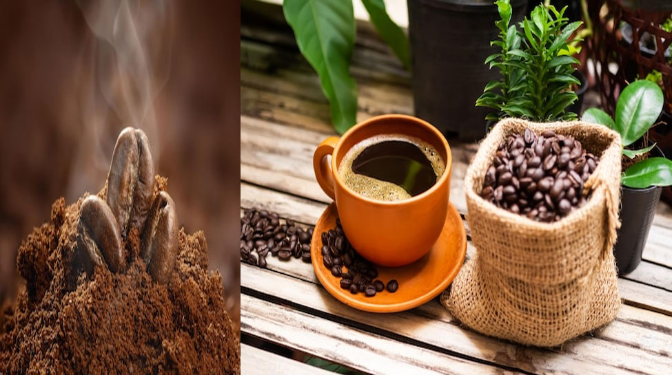 Coffee: इन लोगों को भूलकर भी नहीं पीनी चाहिए कॉफी वरना पड़ सकते हैं लेने के देने