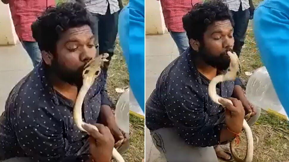 Snake Bites Man Video Viral On Internet King Cobra Biting A Person SMI ...