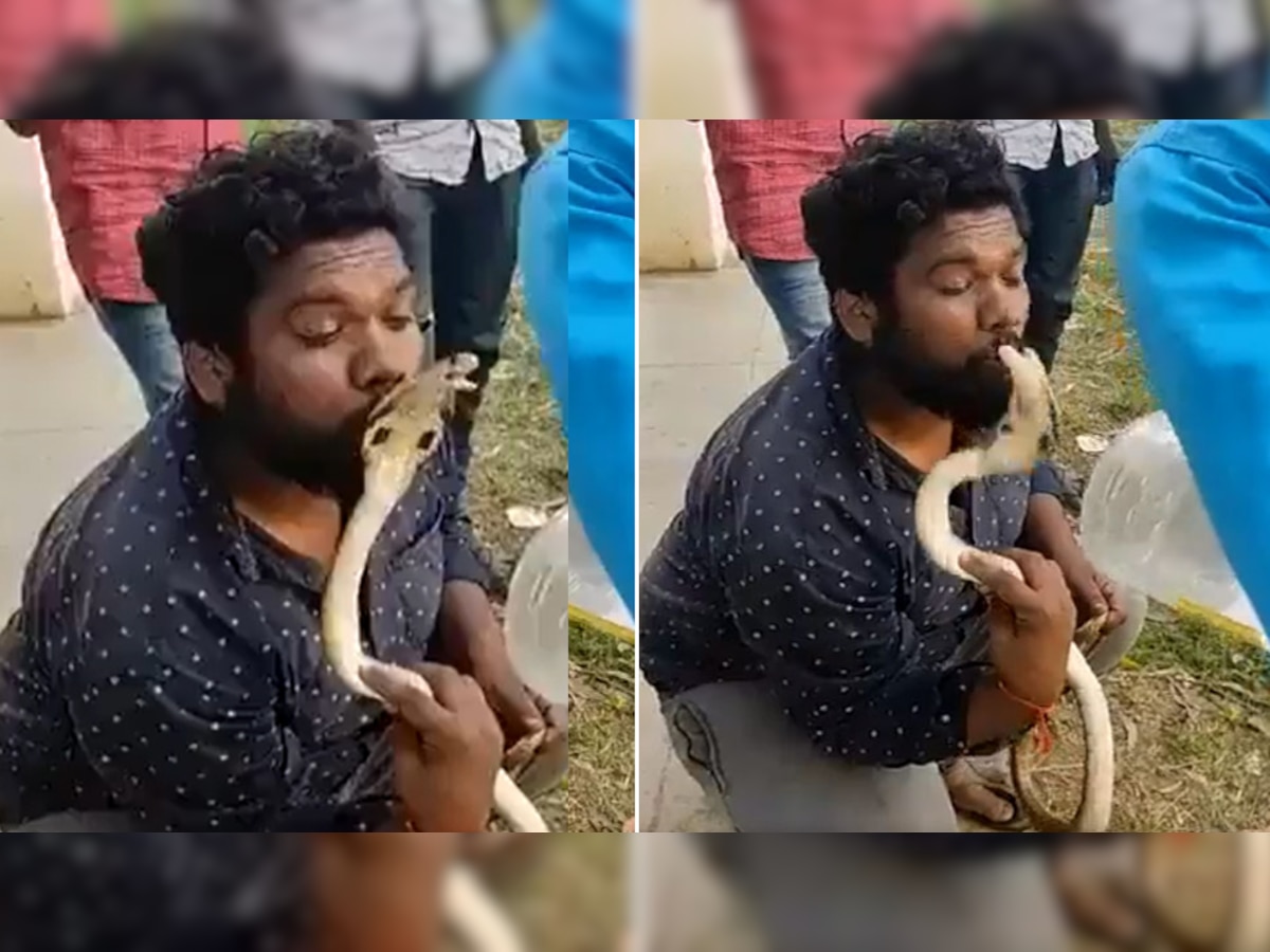 Snake bites video: बिना इजाज़त सांप का चुम्मा लेना पड़ा भारी, कोबरा ने इस तरह लिया बदला