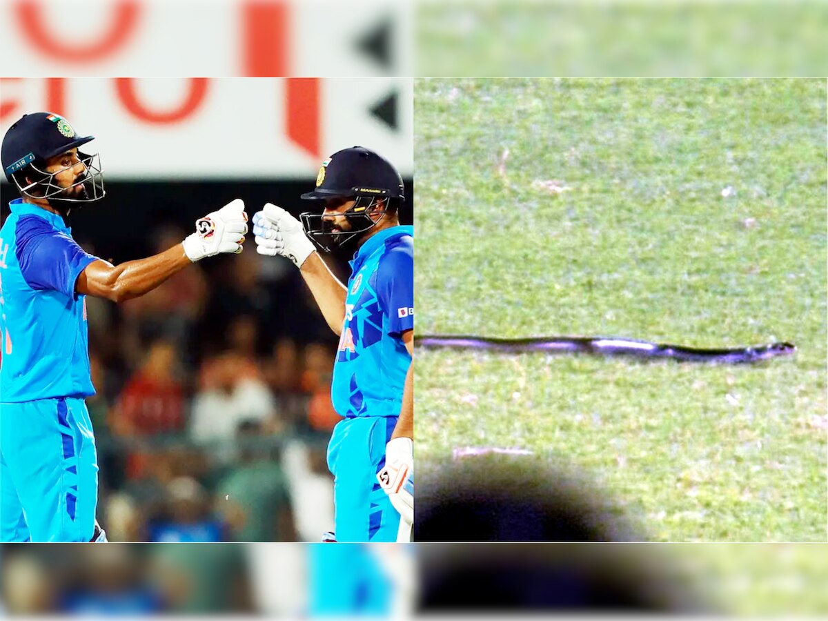 IND vs SA: LIVE मैच के दौरान मैदान में घुसा सांप, भारत-अफ्रीकी खिलाड़ियों में मची खलबली
