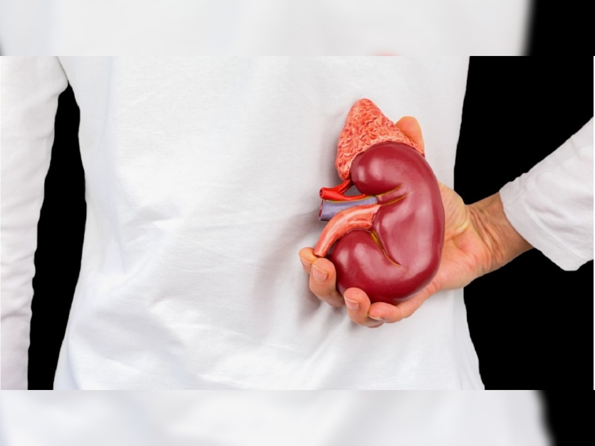 Kidney Health: अपनी इन 10 आदतों को जल्द सुधार लीजिए, वरना किडनी हो सकती है फेल 