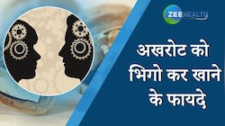 Walnut Benefits: सेहत के लिए वरदान है अखरोट, जानें इसके फायदे