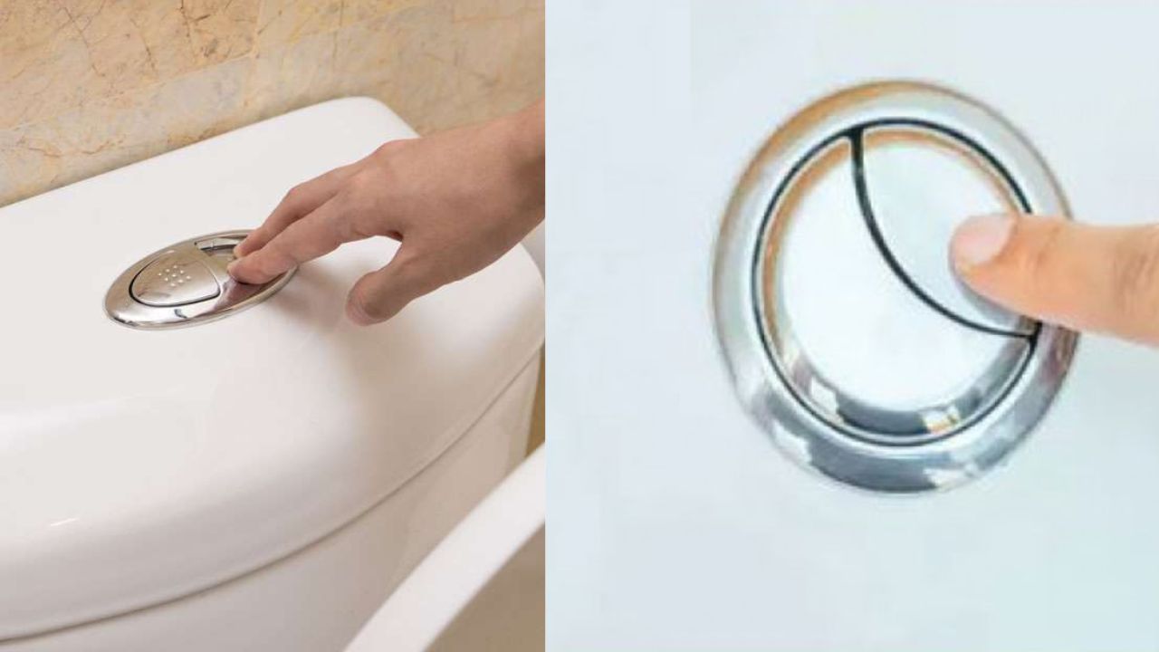 Toilet Flush: इसलिए होता है टॉयलेट फ्लश में एक बड़ा और एक छोटा बटन, 90% लोग नहीं जानते असल वजह