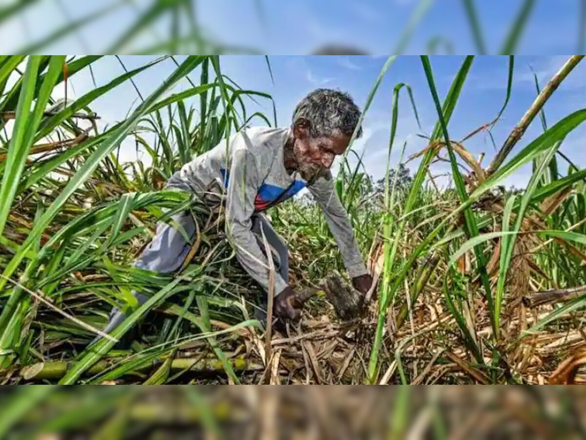 PM Kisan की 12वीं क‍िस्‍त से पहले क‍िसानों को बड़ा तोहफा, सुनकर आप भी हो जाएंगे खुश