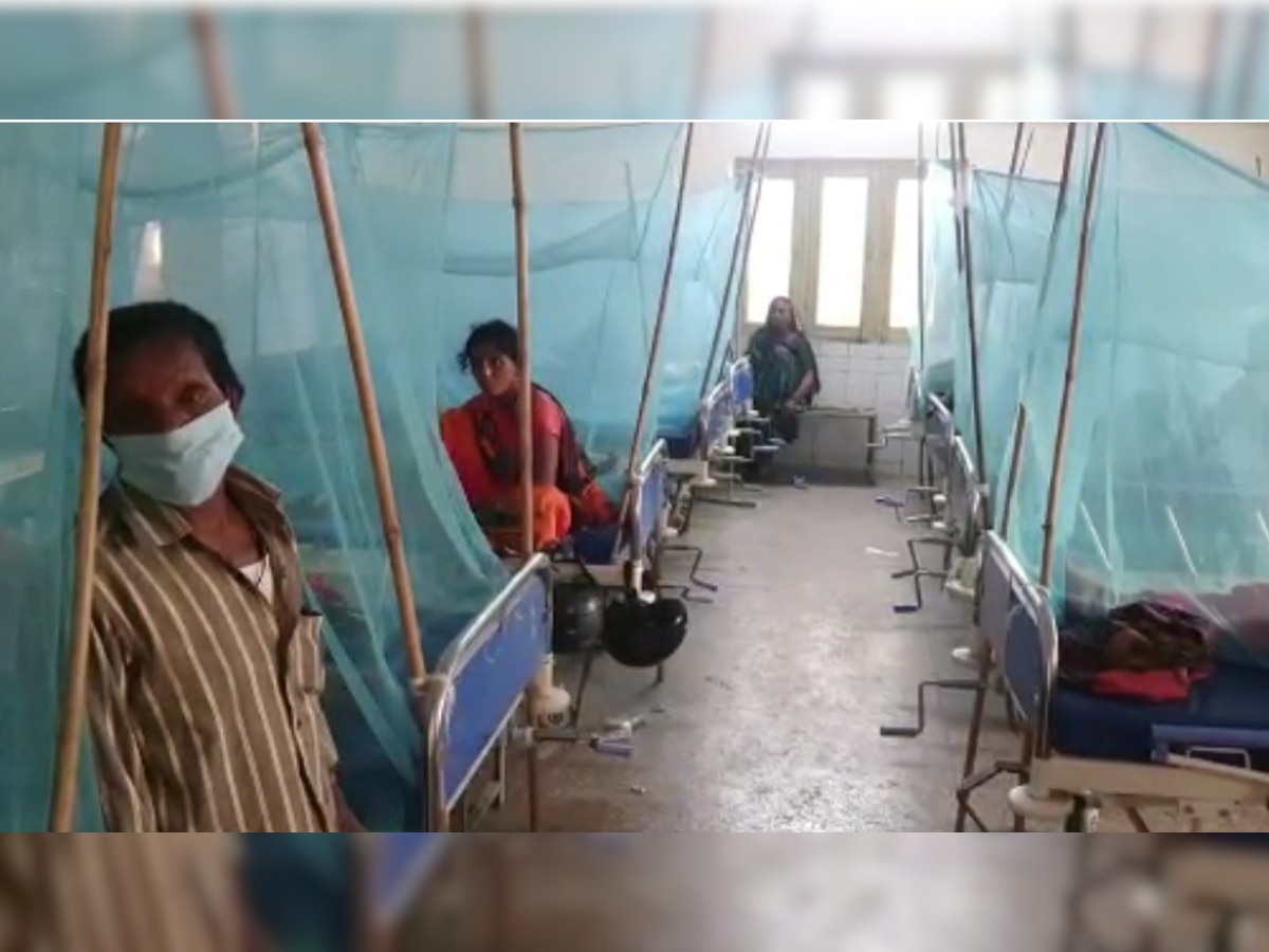 नैनीताल में डेंगू का डंक, 52 मरीज सामने आए, ऐसे करें बचाव
