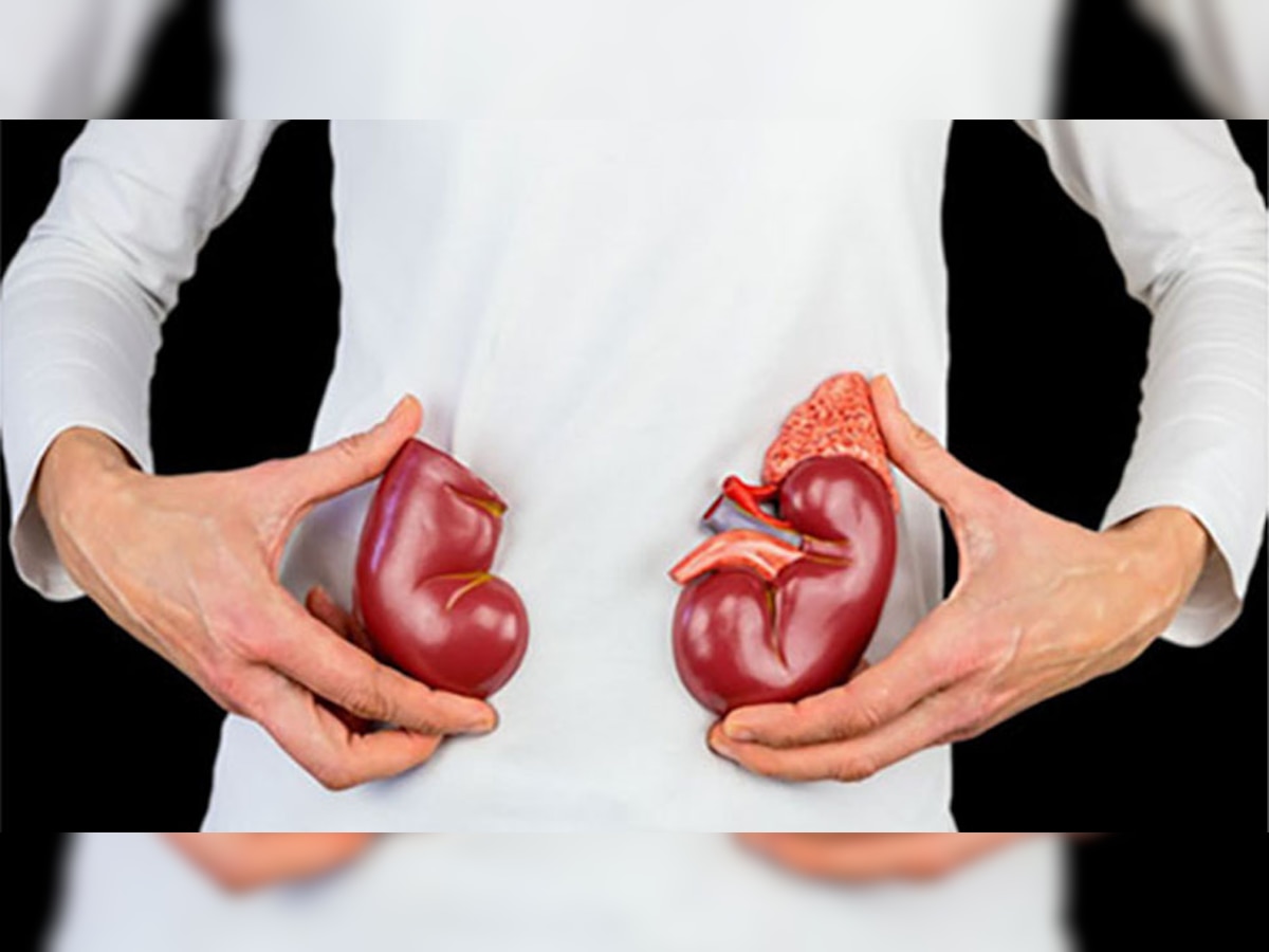 Kidney Problem: किडनी के लिए बहुत नुकसानदायक हैं ये 5 आदतें, फिट रहना चाहते हैं तो आज ही कर लें तौबा