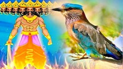 दशहरे पर नीलकंठ के दर्शन होते ही पढ़ लें ये एक मंत्र, घर में लग जाएगा पैसों का ढेर!