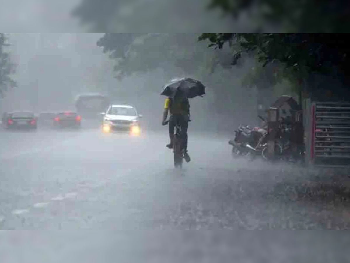 MP में मौसम विभाग का अलर्ट, भोपाल, ग्वालियर सहित इन जिलों में झमाझम बारिश