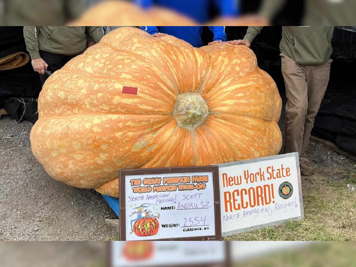Pumpkin: किसान ने उगा दिया 1158 किलो का कद्दू, खुद बताया-कैसे किया यह कमाल