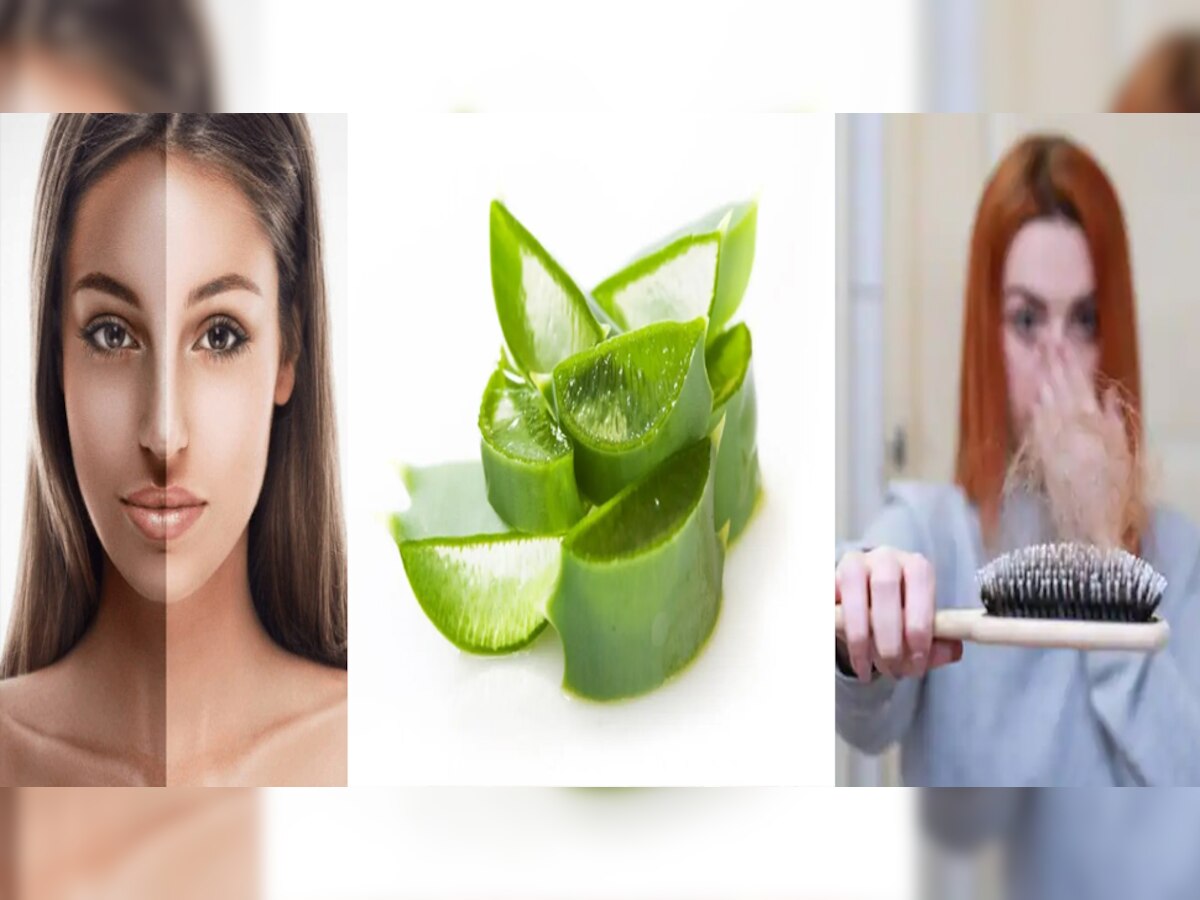 Aloe vera benefits: बाल से खाल तक, इन 7 शरीर के हिस्सों के लिए फायदेमंद है एलोवेरा