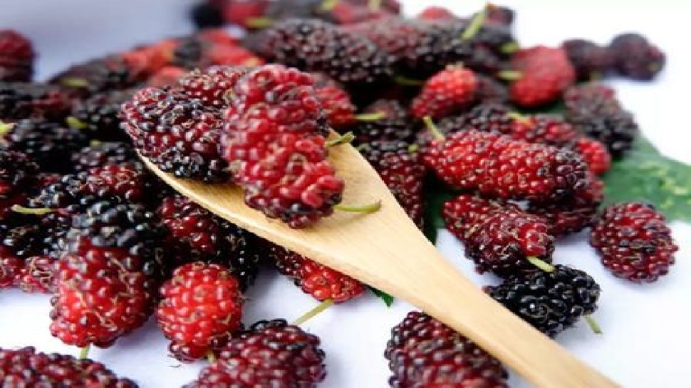 Mulberry fruit discount in hindi