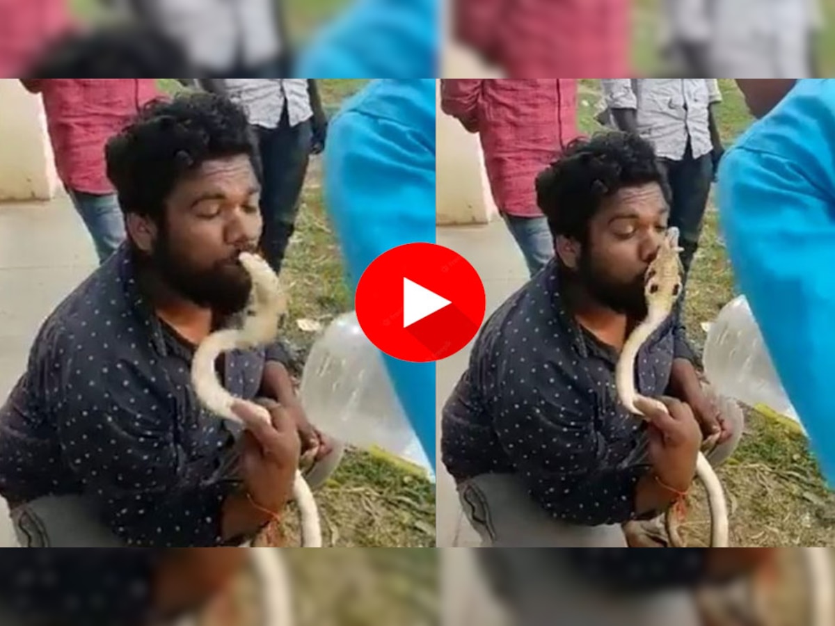 Video: कोबरा को किस कर रहा था लड़का, उसने भी पलट कर किया तो मचा हंगामा, जानें उसकी हालत
