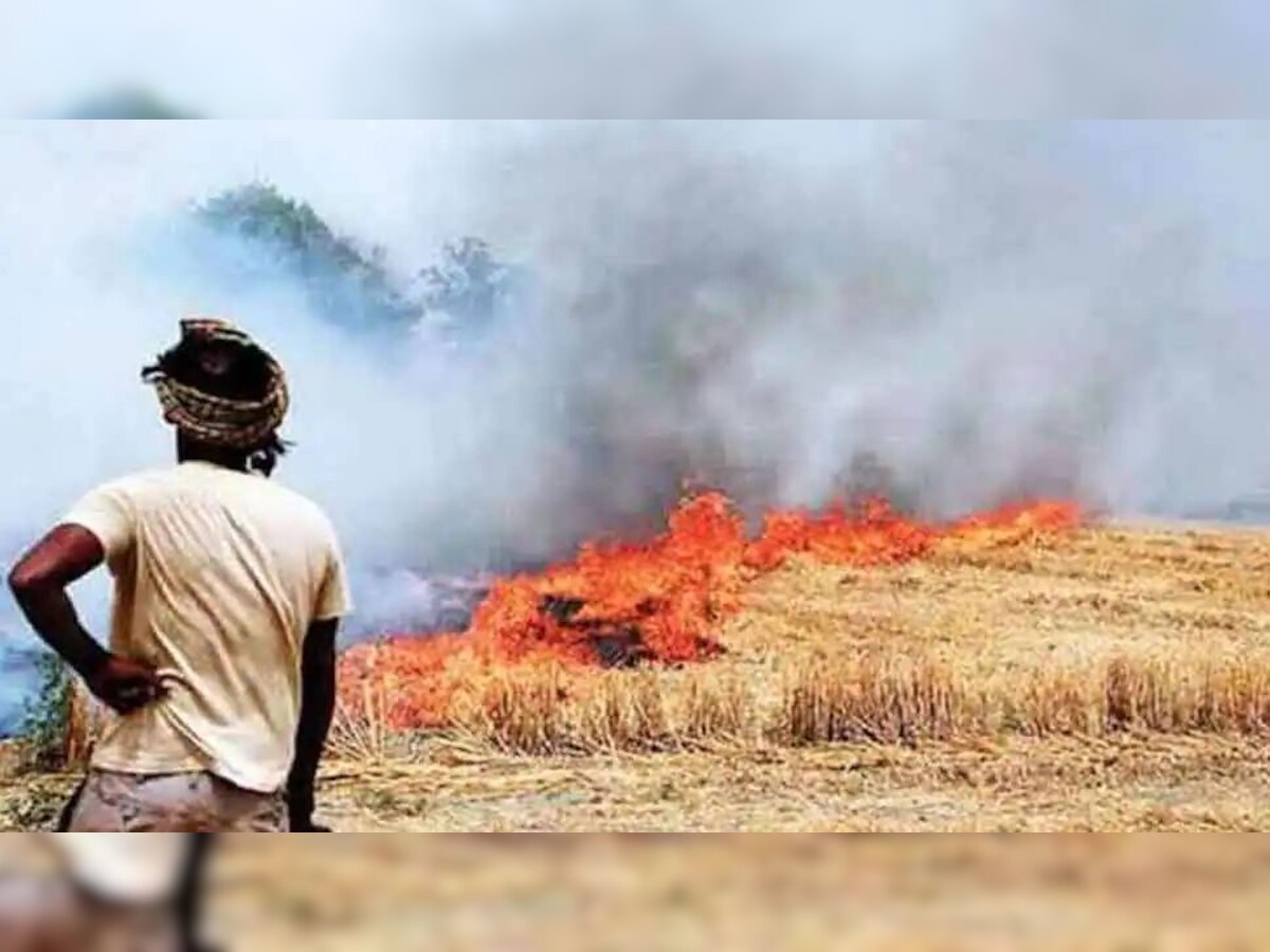 Stubble Burning -  ਪਰਾਲੀ ਸਾੜਨ ਦਾ ਸਿਲਸਿਲਾ ਜਾਰੀ, 1 ਦਿਨ 'ਚ 85 ਮਾਮਲੇ ਆਏ ਸਾਹਮਣੇ