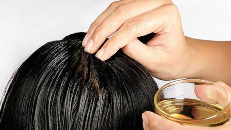 Hair Care Tips: बालों में एलोवेरा और सरसों का तेल लगाने से डैमेज बालों से मिलता है छुटकारा, इस तरह से करें इस्तेमाल