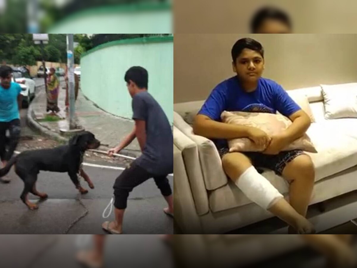 Kanpur Rottweiler dog attack