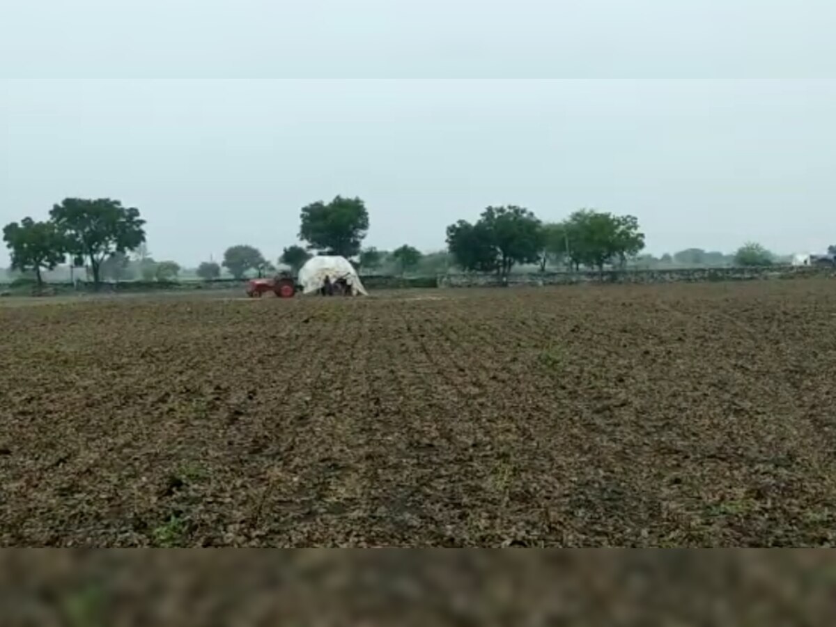Kota: बेमौसम बारिश से किसानों को हुआ नुकसान,सोयाबीन की फसल बर्बाद