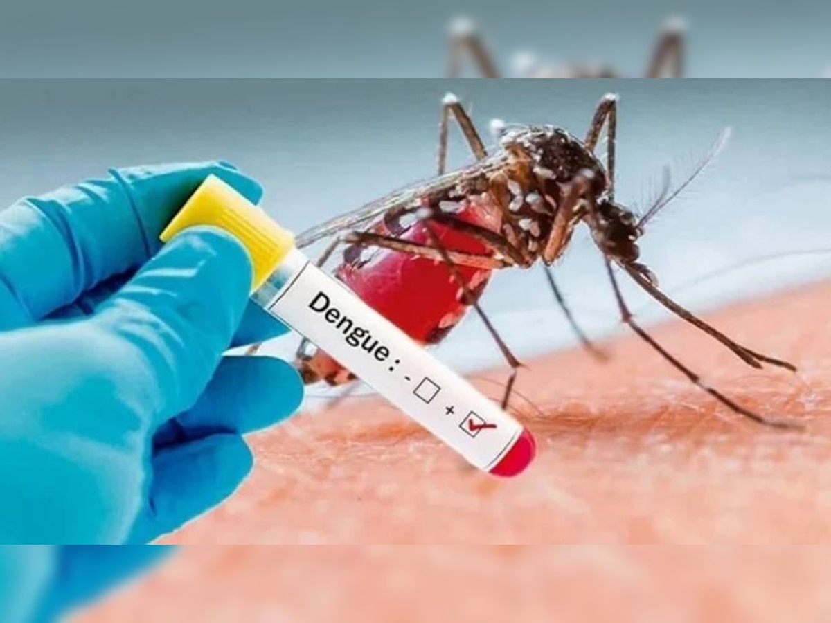 Dengue Fever: यूपी में डेंगू और स्वाइन फ्लू ने दी जबरदस्त दस्तक, लखनऊ में बढ़ रही मरीजों की संख्या,नोएडा-गाजियाबाद में भी कहर