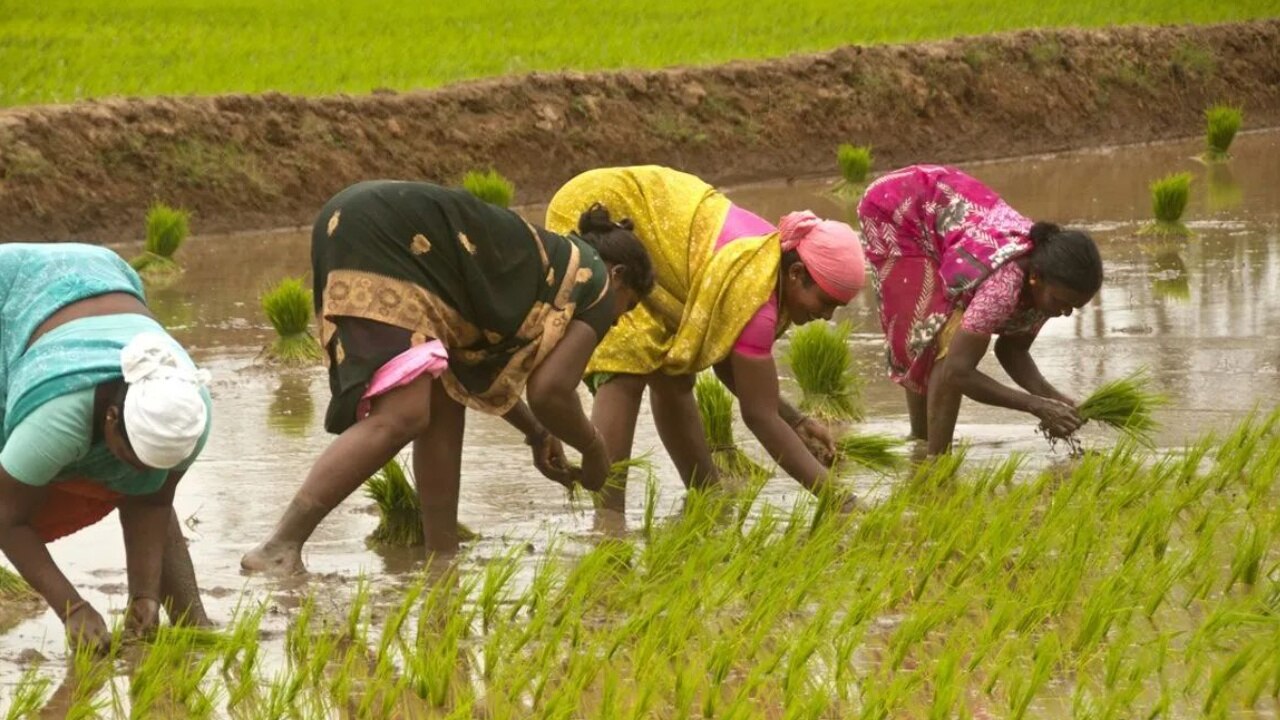 PM Kisan Yojana: इस दिन खाते में क्रेडिट होंगे 12वीं किस्त के पैसे, पर इन किसानों को नहीं मिलेगा लाभ