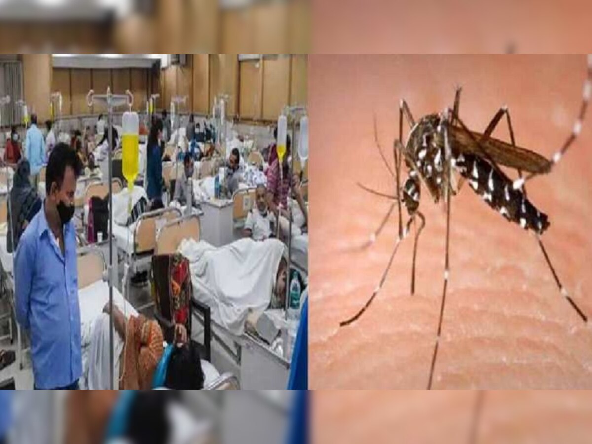 पटना में तेजी से बढ़ रहे डेंगू के मामले, एक दिन में 300 से भी ज्यादा मरीजों की शिनाख्त