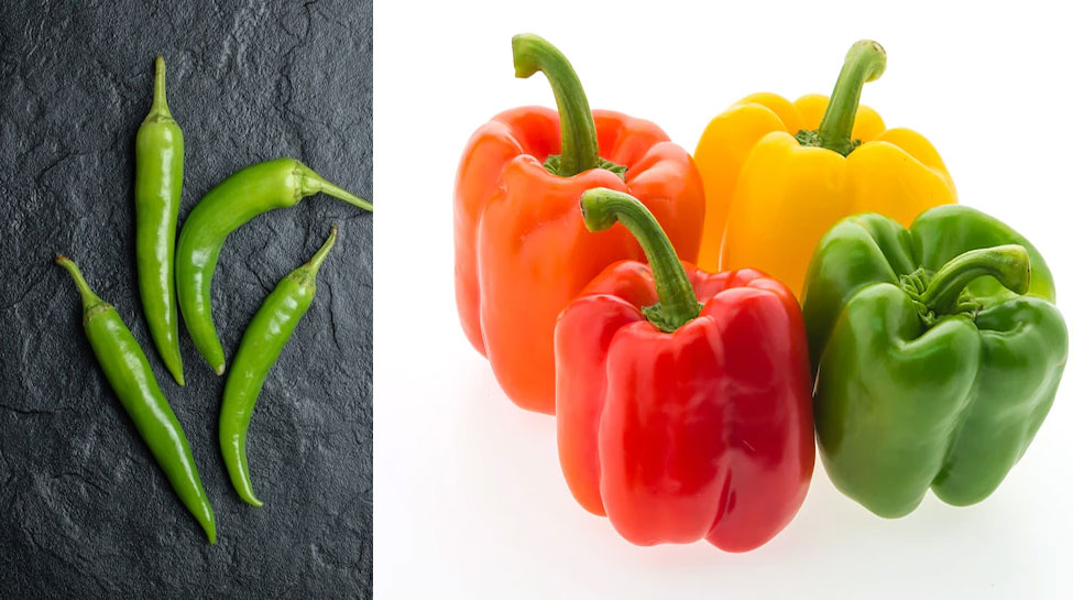 know here benefits of eating green chillies and capsicum as salad can
