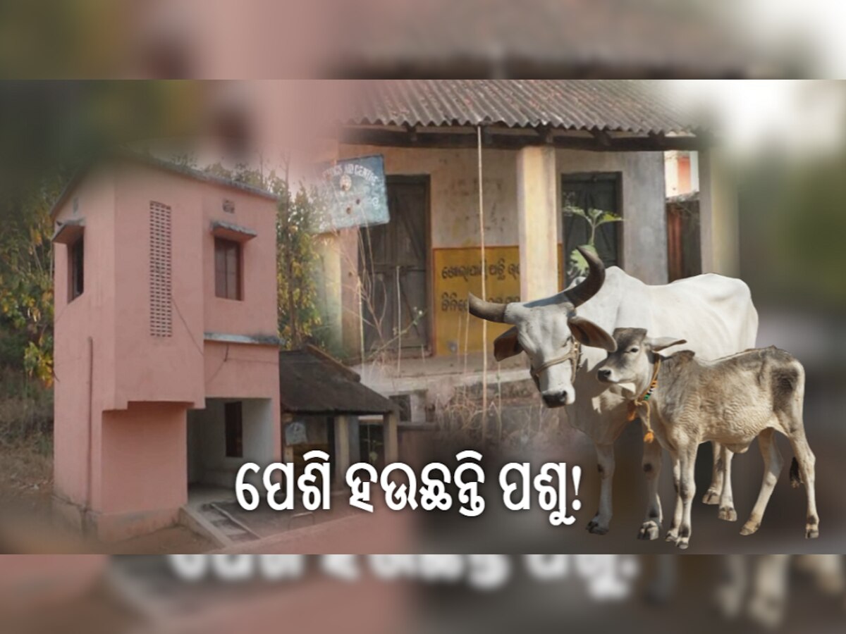 ପ୍ରାଣହୀନ ପ୍ରାଣୀଧନ ସାହାୟକ କେନ୍ଦ୍ର: ନିରୀକ୍ଷକ ନୟନା ନିଖୋଜ, ସବୁ ଜାଣି ରଥ ବାବୁ ନିରବ! 