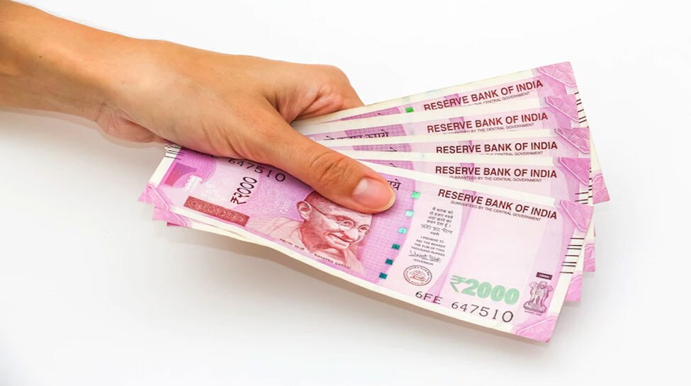 Business Idea: अब आप भी कमा सकते हैं लाखों रुपये, ऐसे करें कम लागत में मोटी कमाई