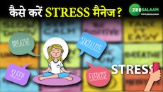 कैसे करें Stress मैनेज? देखें जानवर कैसे कर सकते हैं Stress मैनेज करने में मदद?