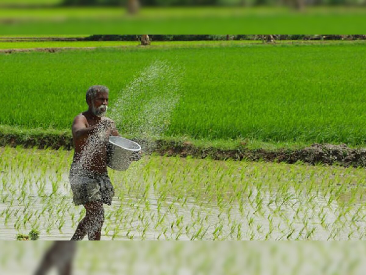 kisan Subsidy: किसानों के खाते में आएंगे 2,500 रुपये, जानिए क्या है इसे लेने का तरीका?
