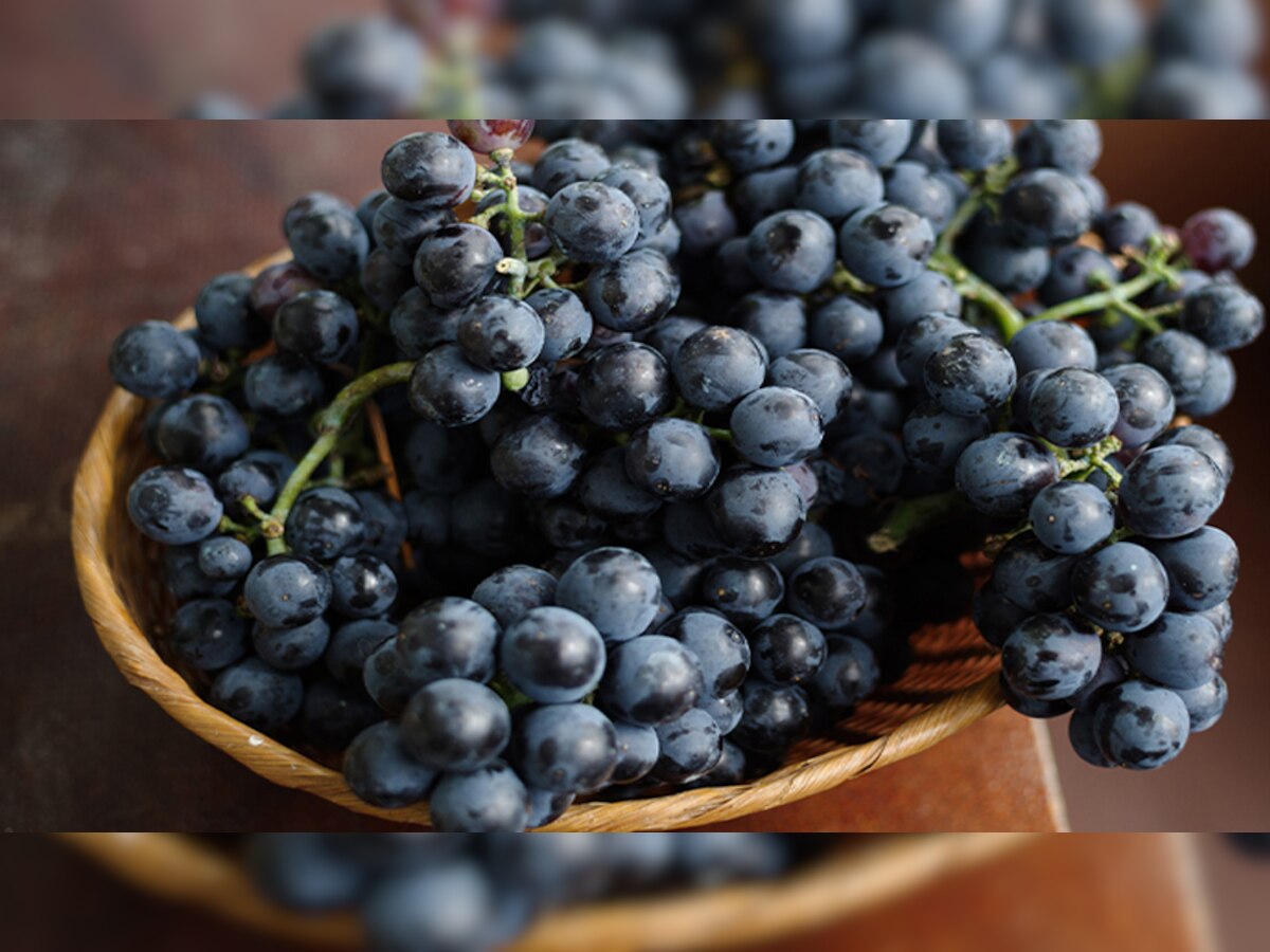 Black Grapes benefits: कोलेस्ट्रॉल को कम करने के साथ काला अंगूर करता है ये 5 बड़े काम