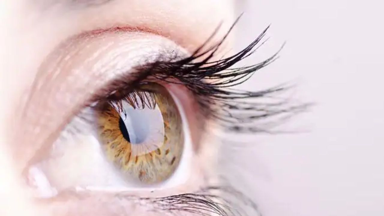 World Sight Day 2022: अच्छी Eyesight के लिए फॉलो करें ये टिप्स, चश्मे से मिल जाएगा छुटकारा