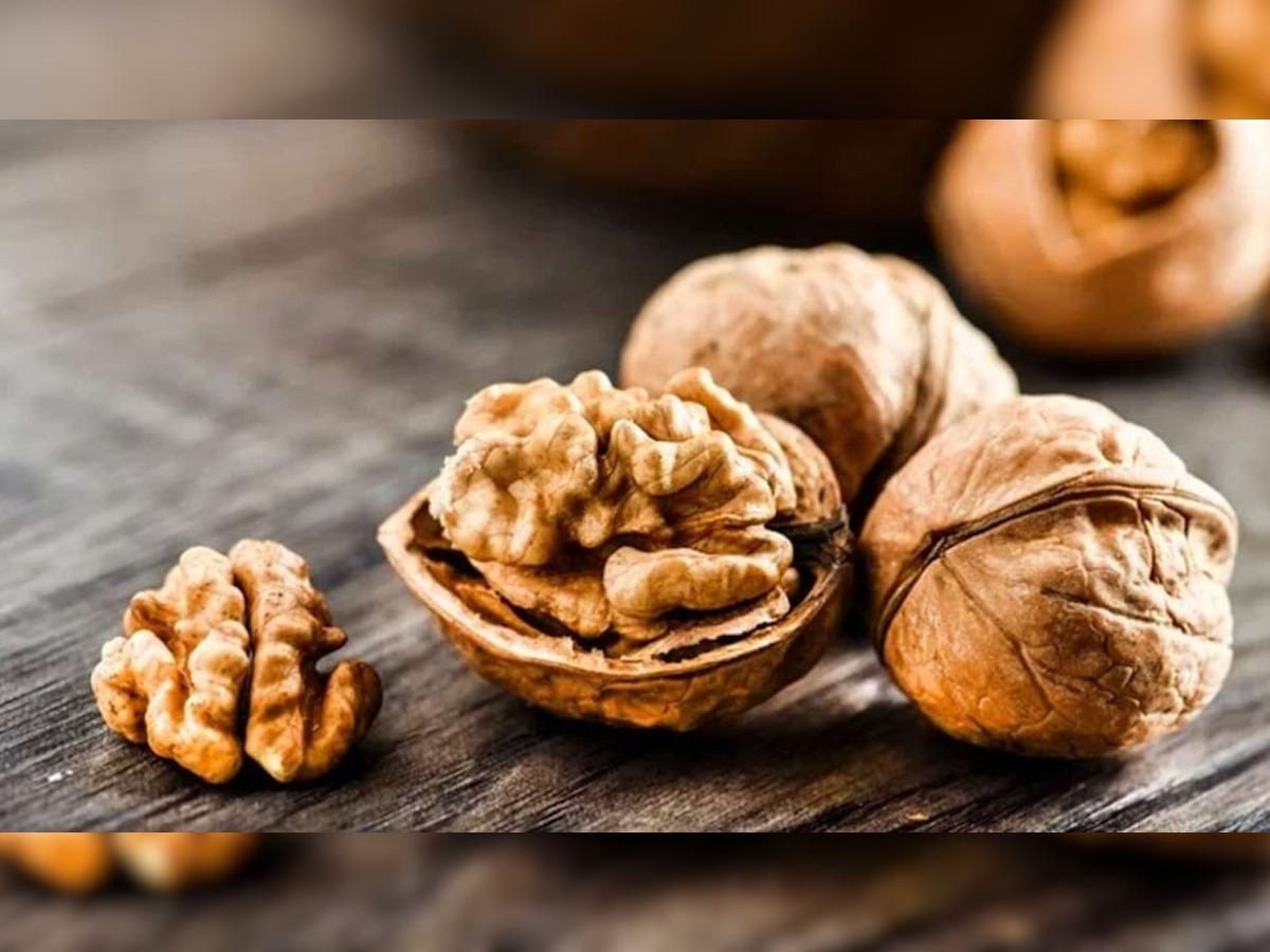 Best Dry Fruits For Brain Health Sharp Minds Almonds Almonds Hazelnuts