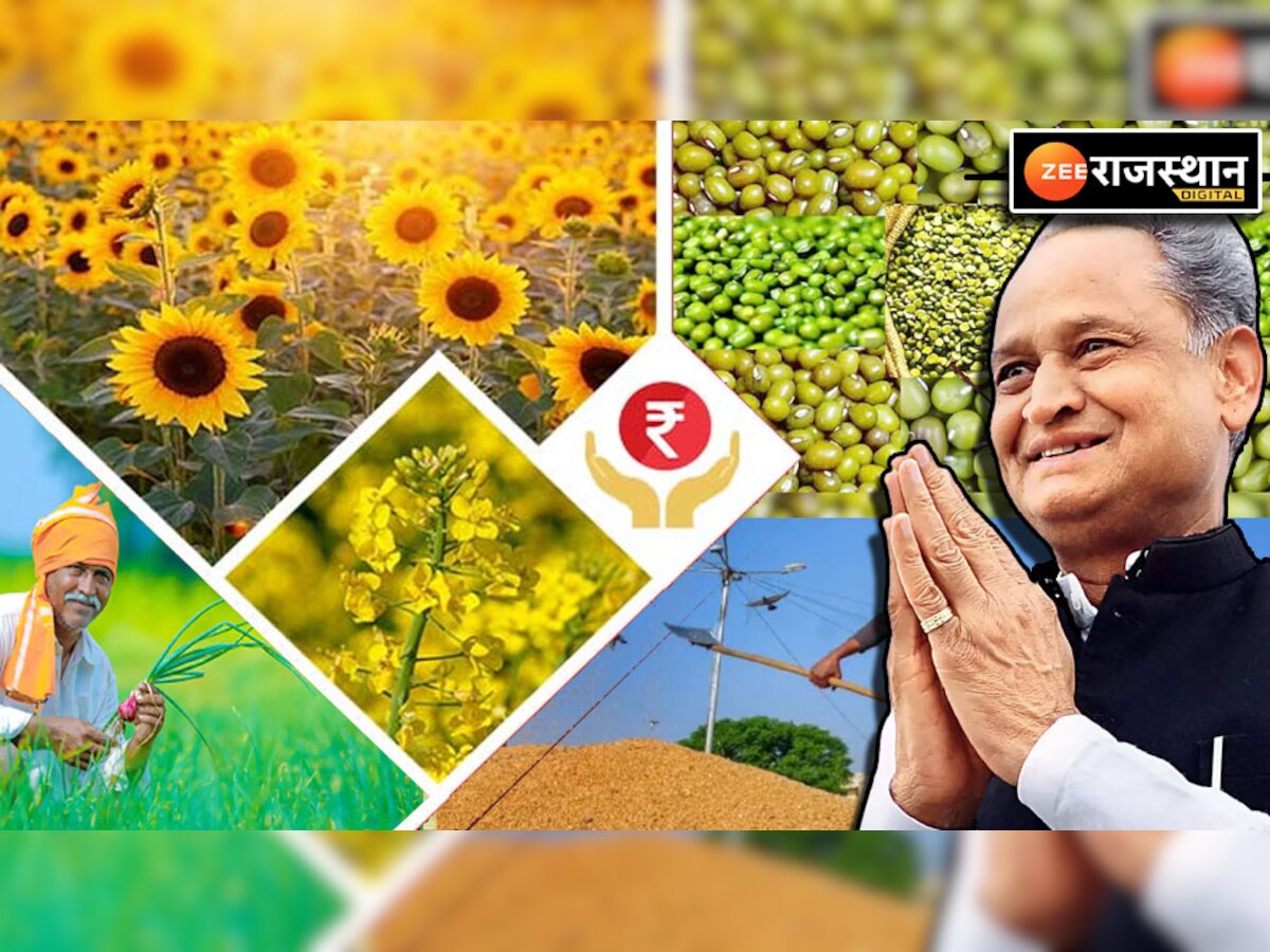 राजस्थान के किसानों के लिए खुशखबरी! समर्थन मूल्य पर उपज खरीद की तैयारी में सरकार