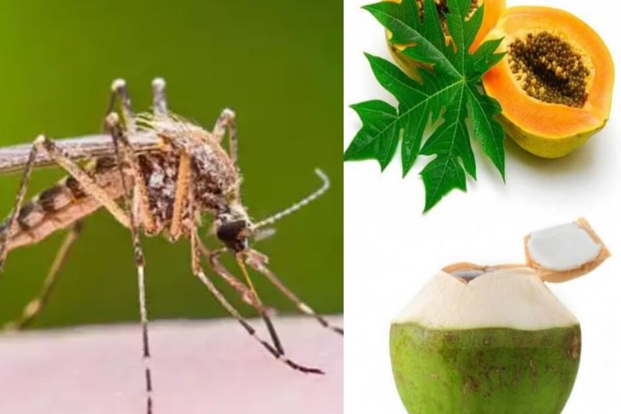 Dengue Prevention Tips: डेंगू बुखार क्या है, जानें बचाव के उपाय, प्लेटलेट्स बढ़ाने के टिप्स