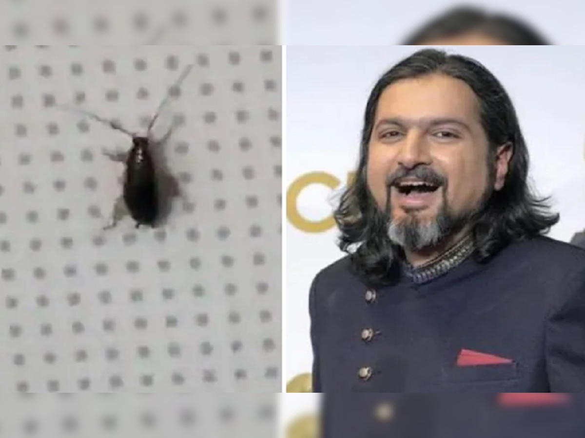 Cockroach In Flight: इंडिगो की फ्लाइट में दिखा कॉकरोच, ग्रैमी अवार्ड विनर ने पोस्ट किया वीडियो