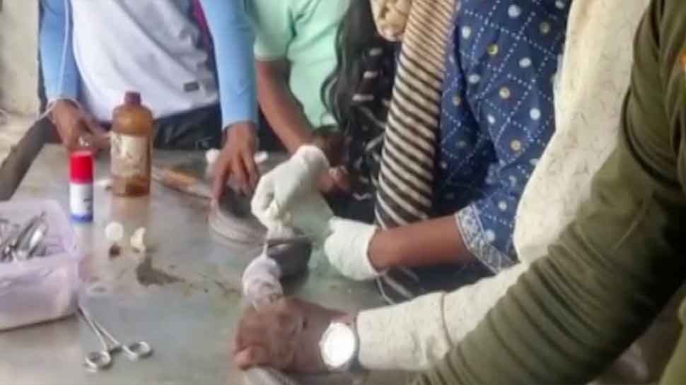 Cobra Snake surgery in Narmadapuram discharged from hospital after ...