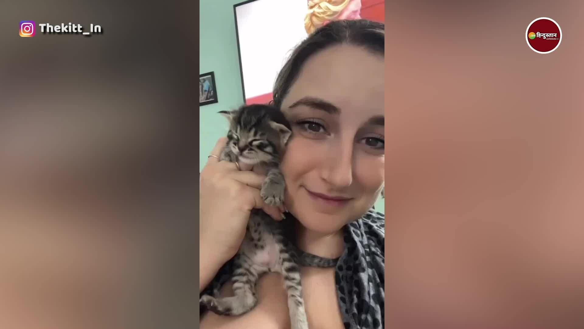Adorable Tiny Kitten Speaks Loudly When Its Mom Scoops It Up इस