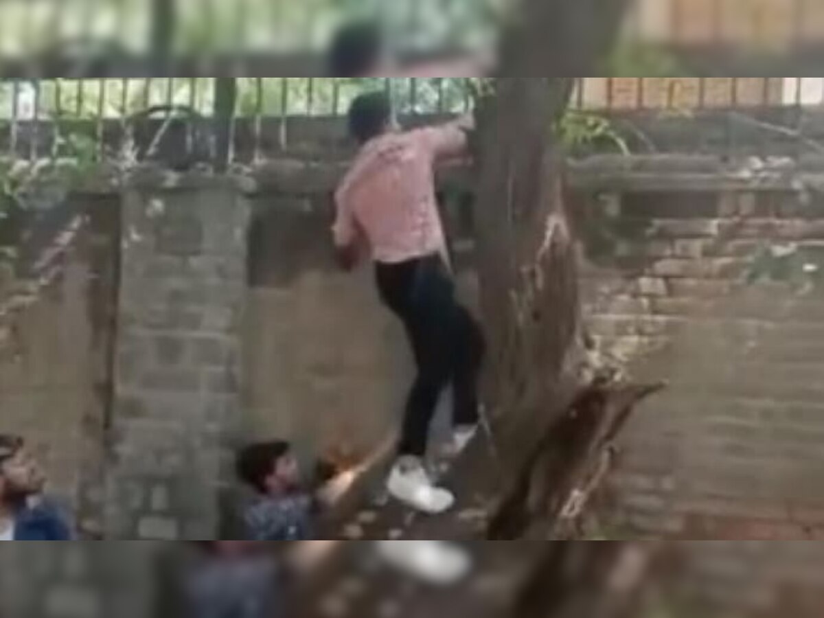 Miranda House Viral Video: दिवाली फेस्ट देखने DU के गर्ल्स कॉलेज की दीवार पर चढ़े लड़के, छात्राएं बोलीं- क्लास में घुसे, की बदतमीजी