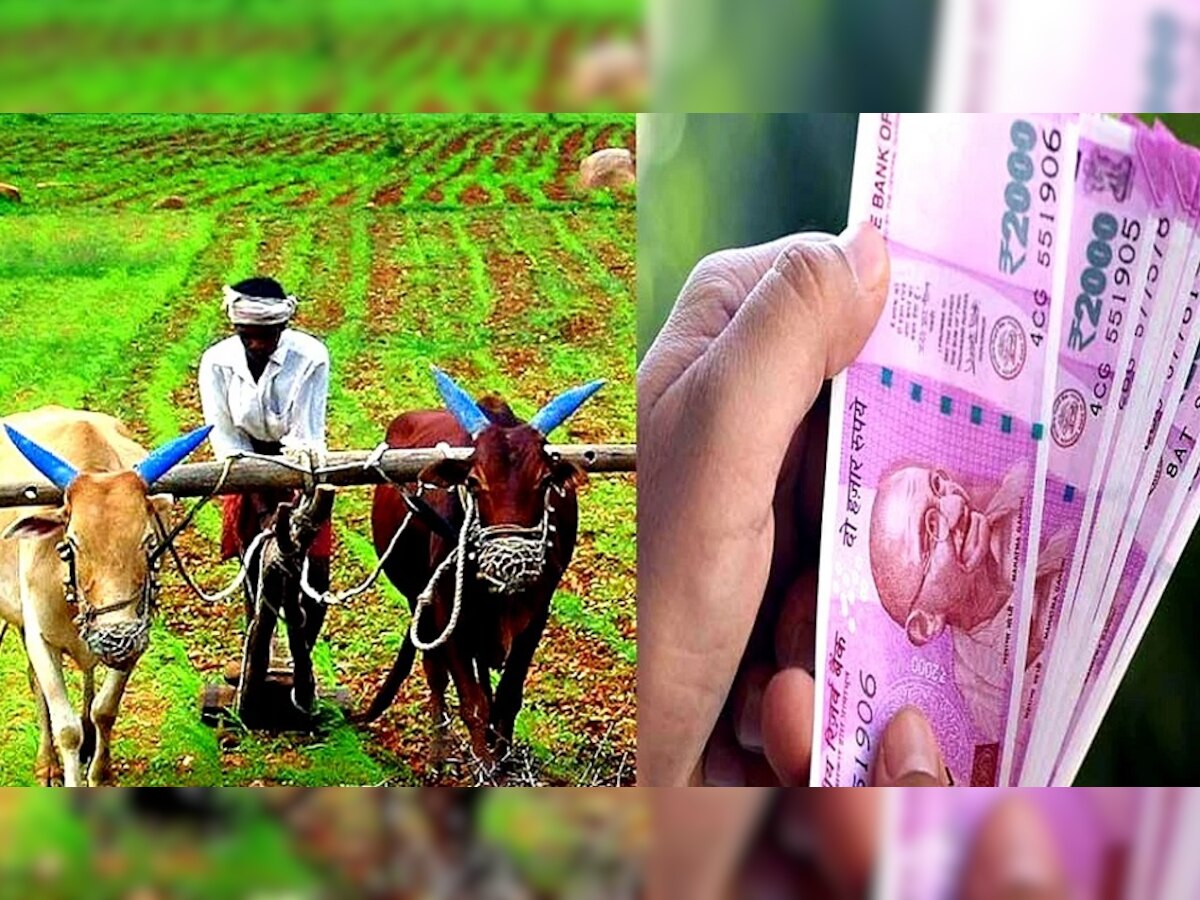 Pm Kisan12th Installment: यूपी के ढाई करोड़ से अधिक किसानों को मिली सम्मान निधि की 12वीं क़िस्त, खाद की 66 खुदरा दुकानें बनी समृद्धि केन्द्र